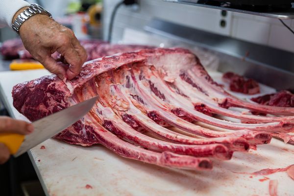 Graziano's Mercado Hialeah by null