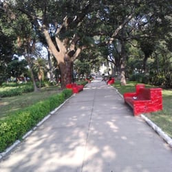 Jardín Botánico