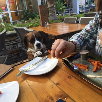 Biergarden Encinitas - New American Near Me - Encinitas, California