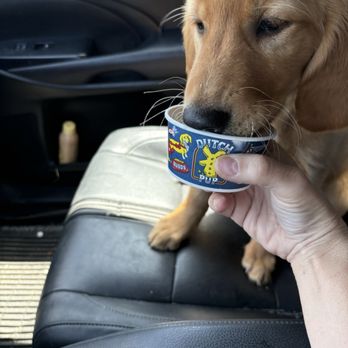 Dutch Bros Coffee - Pup cups from Dutch ! - Coffee & Tea Near Me - Yuba City, California
