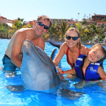 Dolphin Discovery - Aquariums Near Me - Cabo San Lucas, BCS