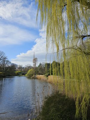 Planten un Blomen by null