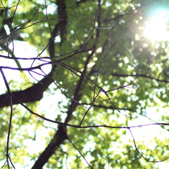 Jeff Robertson Park - Parks Near Me - Norfolk, Virginia Jeff Robertson Park - Parks Near Me - Norfolk, Virginia