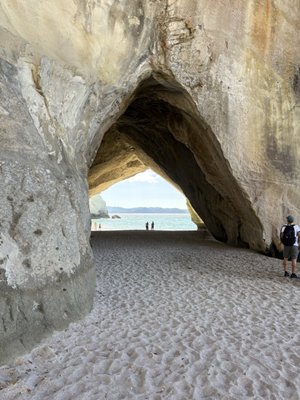 Cathedral Cove Beach by null