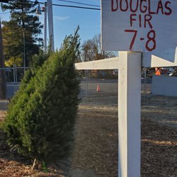 Davis Scouts Bsa Christmas Tree Lot