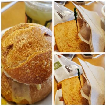 Panera Bread - Pick 2. Broccli and cheddar bread bowl with a turkey bravo, Brownie and green tea - Sandwiches Near Me - Lithonia, Georgia