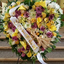 Petals for Less