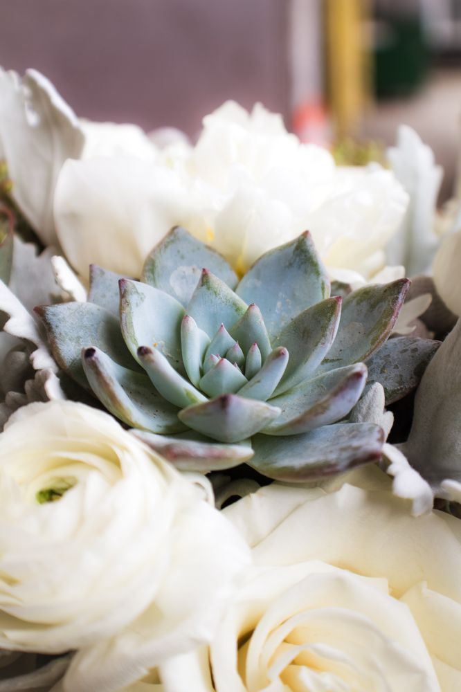 ASHLAND ADDISON FLORIST RUSH HOSPITAL 18 Photos 1620 W Harrison