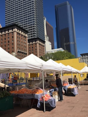 Pershing Square Farmers Market by null