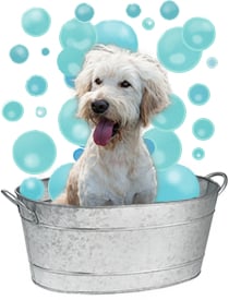 snoop dogg mobile grooming