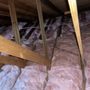 Photo of Attic Avengers