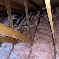 Attic Avengers