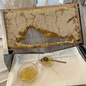 Hotel Punta Negra - local honey at the breakfast bar - Hotels Near Me - Alghero, SS