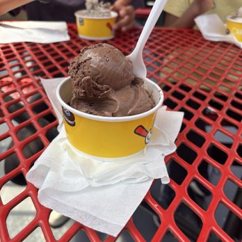 Carvel - Chocolate hard ice cream - Ice Cream & Frozen Yogurt Near Me - Arlington, Virginia Carvel - Chocolate hard ice cream - Ice Cream & Frozen Yogurt Near Me - Arlington, Virginia