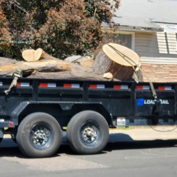 Qualitree - Tree cuttings being taken away. - Tree Services Near Me
