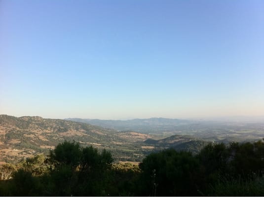 Patland Estate Vineyards by null