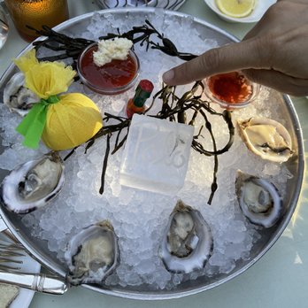 Polo Lounge - Delicious oysters with cocktail sauce and lemon! - New American Near Me - Beverly Hills, California