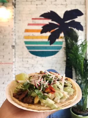 TACO EDITION by null