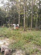 Slide of Fortner Construction and Tree Service