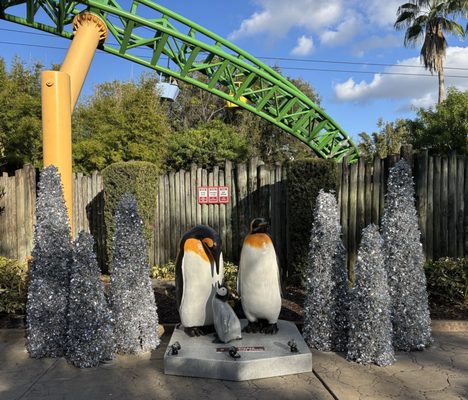 Busch Gardens Tampa Bay by null