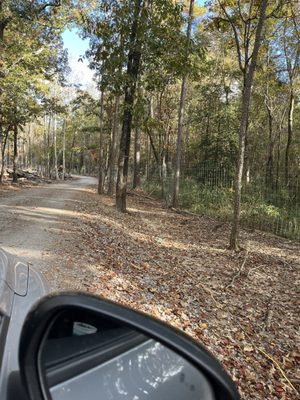 Aloha Safari Park by null