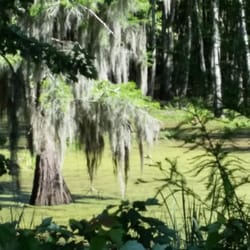 Phinizy Swamp & Education Center