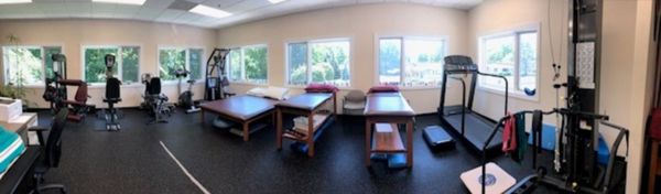 Professional Physical Therapy