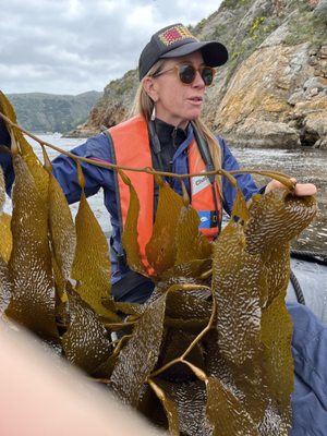 Lindblad Expeditions by null