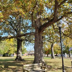 Memorial Park