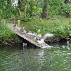 Insel im Unteren Teich