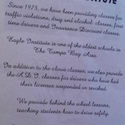 Eagle Institute Of Driving