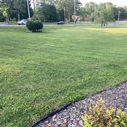 Bluecollar Lawn & Landscape