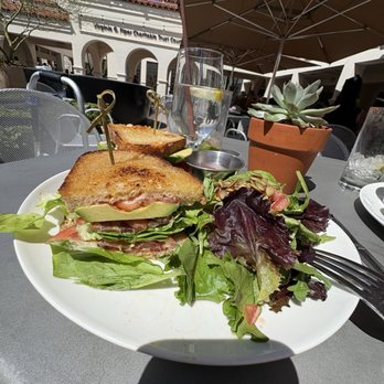 The Courtyard Cafe at Heard Museum - BLT and House Salad with a Raspberry Vinaigrette... - American Near Me - Phoenix, Arizona The Courtyard Cafe at Heard Museum - BLT and House Salad with a Raspberry Vinaigrette... - American Near Me - Phoenix, Arizona
