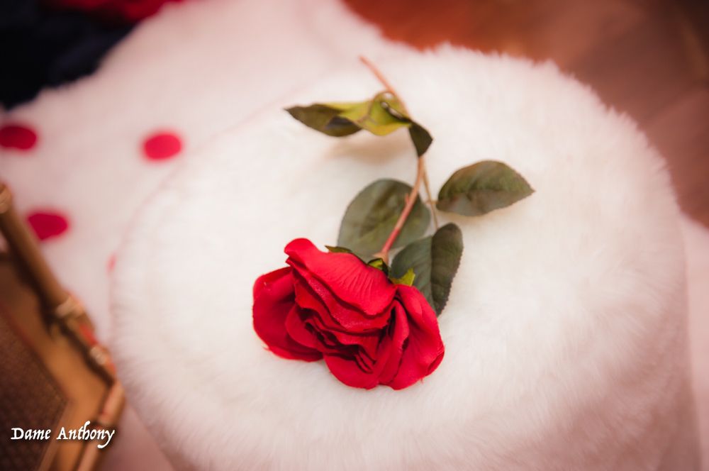 CT PARTY LOT Updated May 2024 90 Photos Meriden, Connecticut Photo Booth Rentals Phone