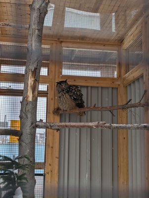Canadian Museum of Nature / Musée canadien de la nature by null