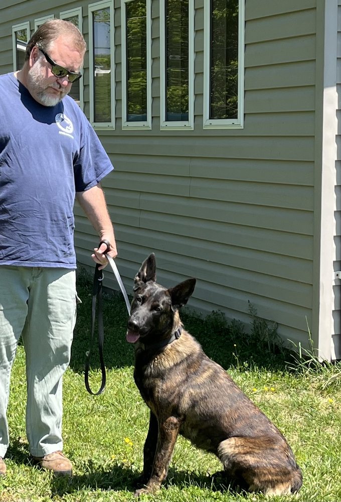 CANINE INDUSTRIES Request Consultation 26 Photos Morristown