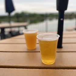 Paddle Dog Adventures - Beer on draft