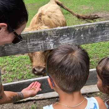 Papa's Farm and Mini Friends - Petting Zoos Near Me - Howell, New Jersey
