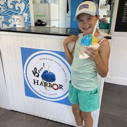 Brrrr! Harbor: Bar Harbor - Allergy friendly!!!!