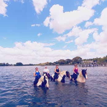 CPonies - Horseback Riding Near Me - Bradenton, Florida CPonies - Horseback Riding Near Me - Bradenton, Florida