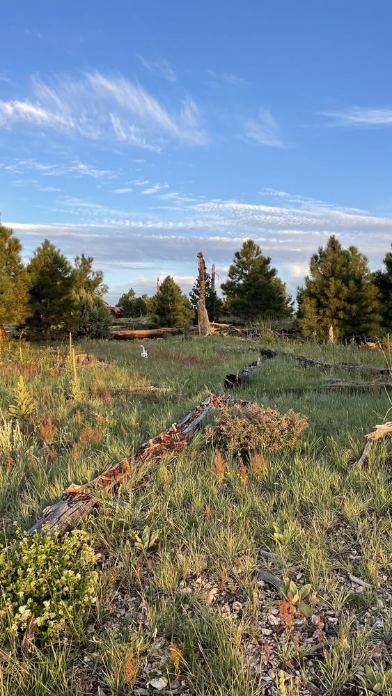 CAMP GERONIMO 2599 W ber Creek Rd, Payson, AZ Yelp