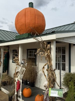 Homestead Gardens by null