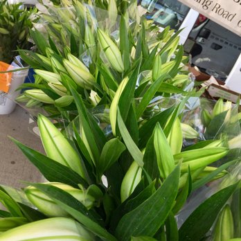 Studio City Farmers Market - Studio City farmers market - best way to start a Sunday - Farmers Market Near Me - Studio City, California