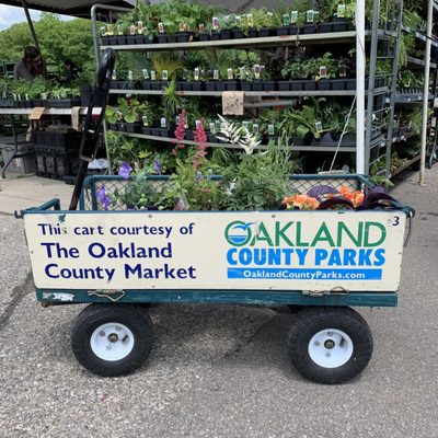 Oakland County Farmer's Market by null