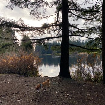 Bradley Lake Park - Parks Near Me - Puyallup, Washington