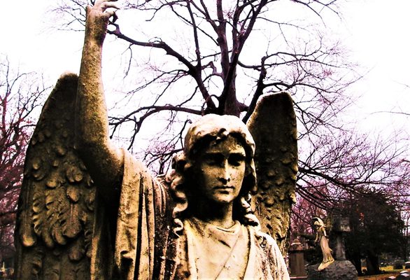 Woodlawn Cemetery • Conservancy by null