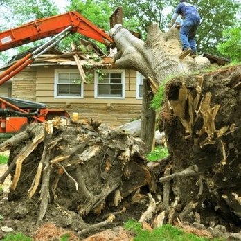 ASR Tree Service - Tree Services Near Me ASR Tree Service - Tree Services Near Me