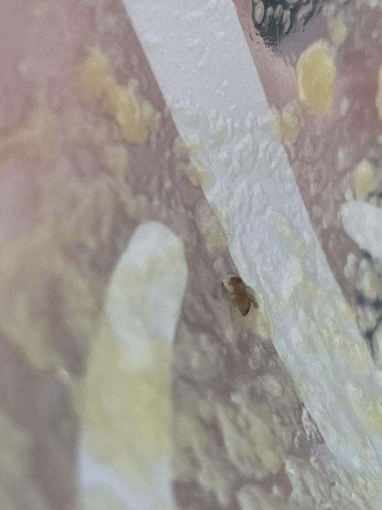 JAMBA JUICE 14 Photos 300 W Hawthorne Rd, Spokane, WA Yelp