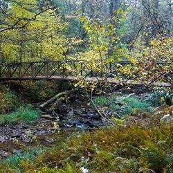 Clear Creek State Park - The creek crossing sites are beautiful.