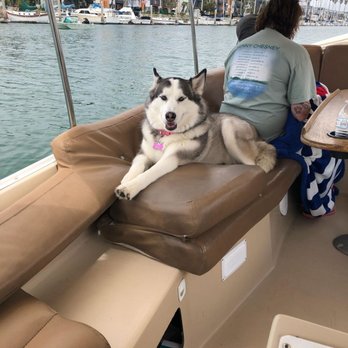 Hopper Boat Rentals - Macie, enjoying the ride - Boating Near Me - Oxnard, California